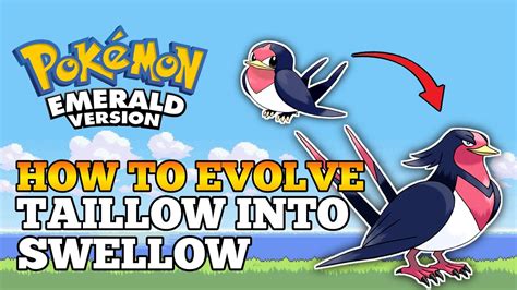 swellow smogon|when does swellow evolve.